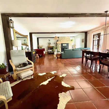 Wellbeing Casa E Connosco Bed & Breakfast Alvaiazere