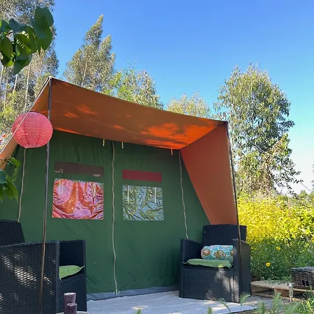 Bed & Breakfast Wellbeing Casa E Connosco Alvaiazere
