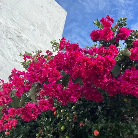 Nocleg ze śniadaniem Wellbeing Casa E Connosco *