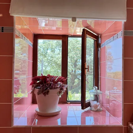 Alojamento de Acomodação e Pequeno-almoço Wellbeing Casa E Connosco