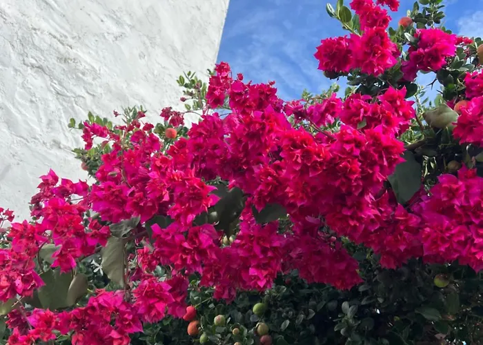 Bed & Breakfast Wellbeing Casa E Connosco *